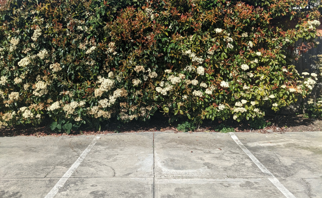 Car-Park-robinson-road-hawthorn-victoria,-88252,-401938_1695790542.9977.jpg