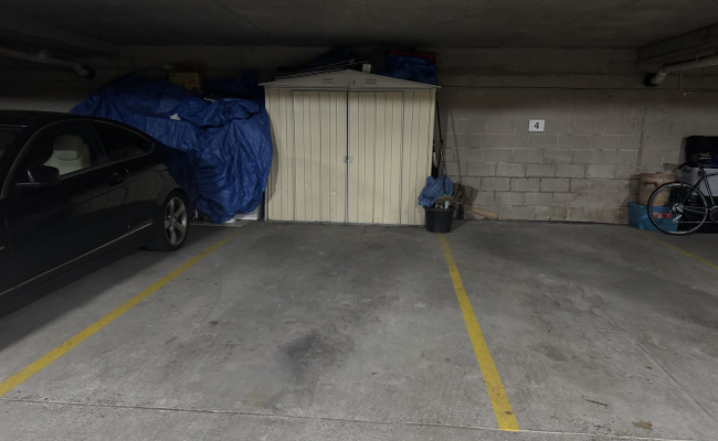 Car-Park-smiths-lane-erskineville-new-south-wales,-99633,-480893_1740981173.2877.jpeg
