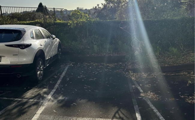 Car-Park-stanley-street-woollahra-new-south-wales,-99158,-477946_1739055738.7586.png