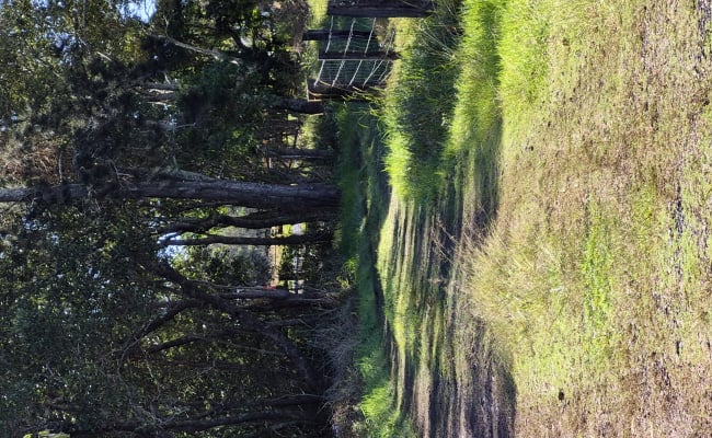 Car-Park-tamarind-drive-ballina-new-south-wales,-100424,-542554_1785804644.6659.jpg