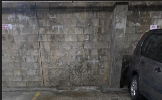Car-Park-victoria-street-east-burwood-new-south-wales,-109009,-542764_1785895623.382.png