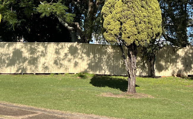 Car-Park-wana-street-sunnybank-queensland,-109770,-549269_1788937861.8192.jpg