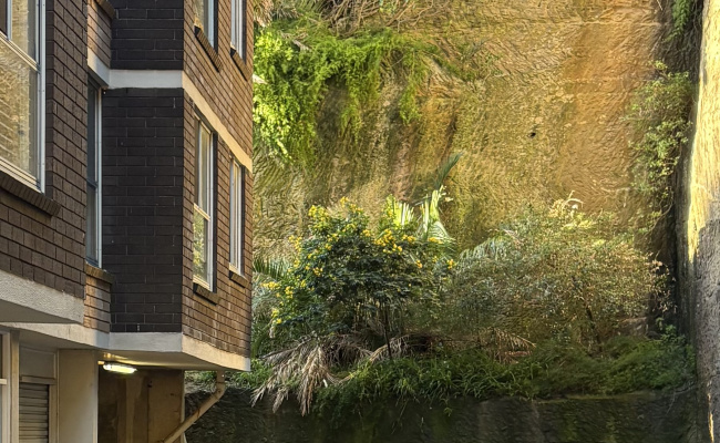 Car-Park-waratah-street-north-bondi-new-south-wales,-107933,-533630_1780542325.0197.jpg